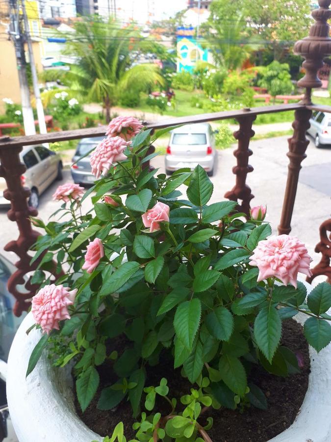 Casa Da Josi - Pajucara Apartment Maceio  Luaran gambar